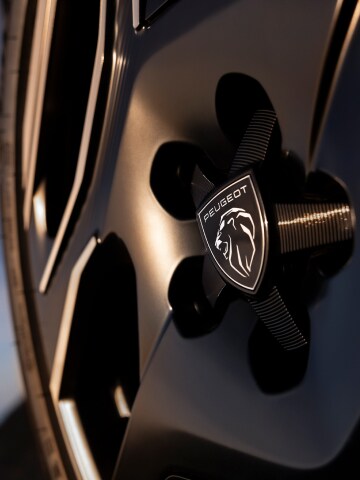 PEUGEOT E-5008 facetgeslepen lichtmetalen velgen